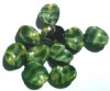10 16mm Olive Tortoise Wavy Disks